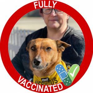 Meet your Posher, Leigh